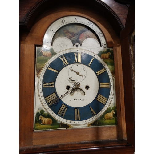 399 - An Antique Mahogany Encased Long Case Clock With Arched Painted Dial & Eight Day Movement, Signed P.... 