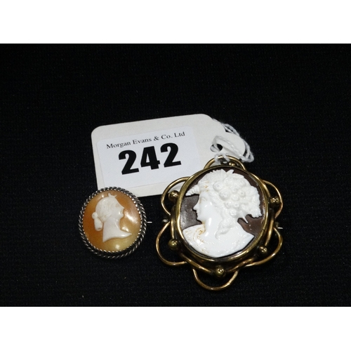 242 - Two Shell Cameo Brooches