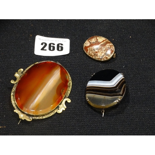 266 - Three Victorian & Later Agate Brooches