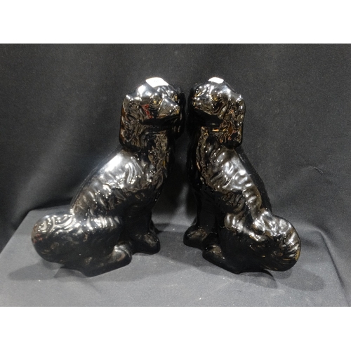 40 - A Pair Of Staffordshire Pottery Jack Field Seated Dogs 12