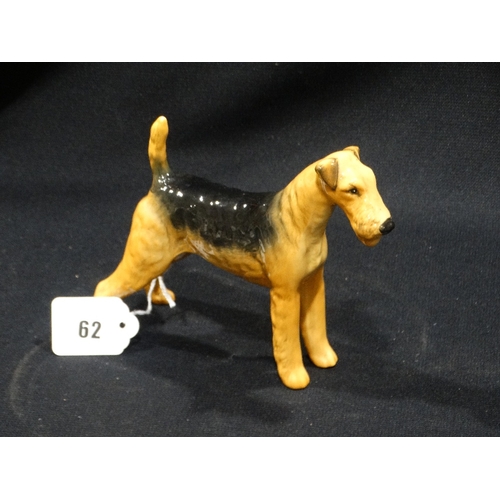 62 - A Beswick Airedale Terrier 