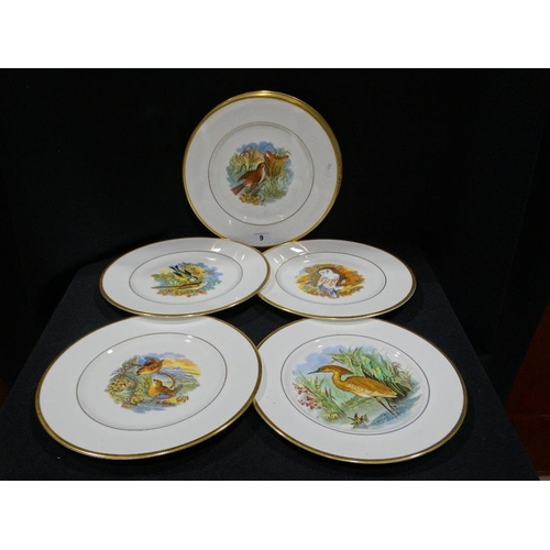 9 - Seven Coalport Bird Decorated Circular Display Plates