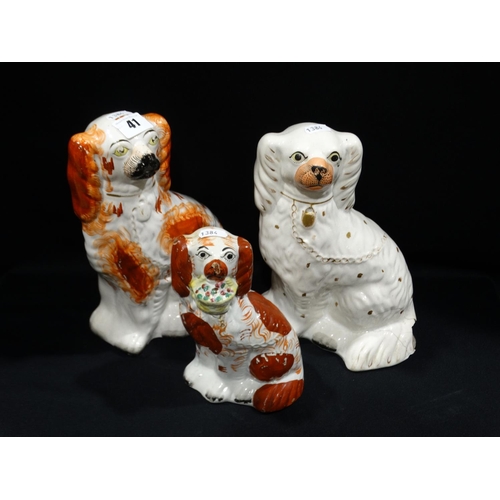 41 - Three Seated Staffordshire Pottery Dogs (Af)