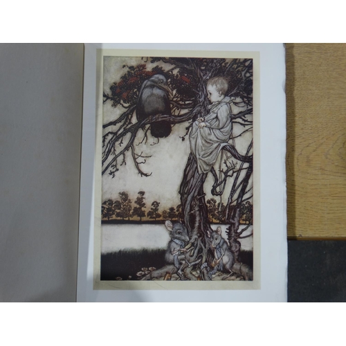 29 - A Peter Pan In Kensington Garden Book By J.M Barrie, With Twenty-Four Drawings By Arthur Rackham