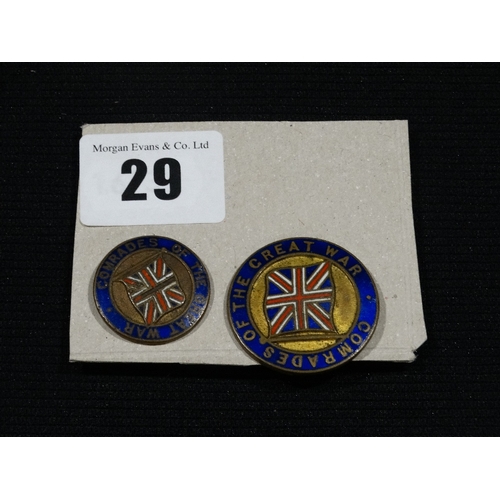 29 - Two Lapel Badges 