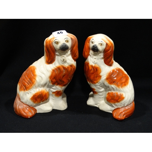 46 - A Pair Of Staffordshire Pottery Red And White Seated Dogs, 8