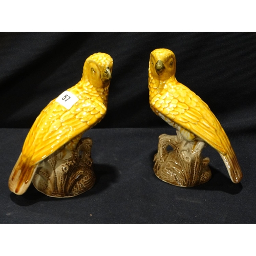 57 - A Pair Of Early 20thc Drip Glazed Parrot Figures