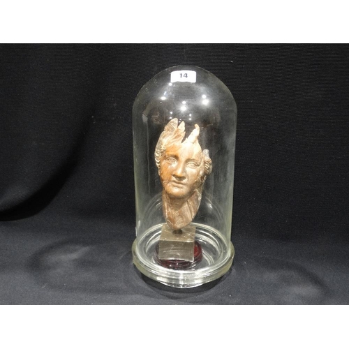 14 - A Model Bust Under A Glass Dome