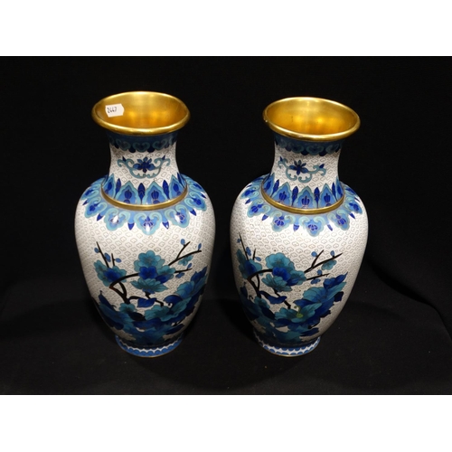 53 - A Pair Of 20thc Cloisonne Baluster Vases, 13