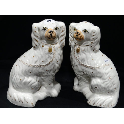 29 - A Pair Of Staffordshire Pottery White Seated Dogs