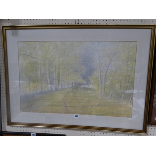 566 - David T Williams, Watercolour, Woodland View With Track To The Centre, Signed