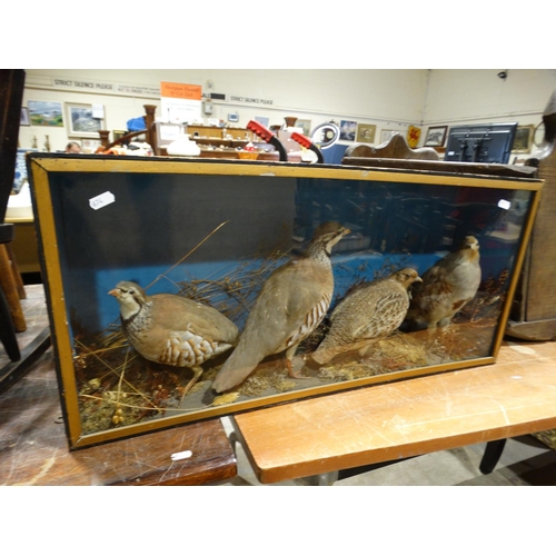 132 - An Antique Taxidermy Case Displaying Four French Partridge