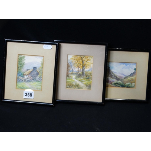 365 - A Group Of Three Framed Watercolour Miniatures By Alan White