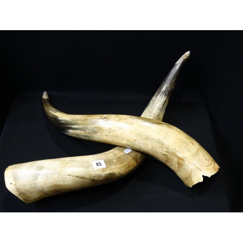 Lot 45        