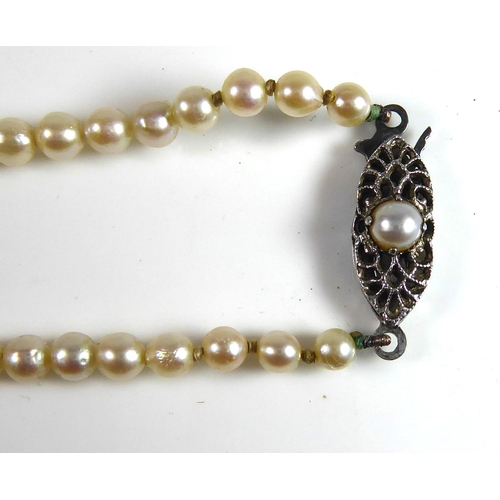 243 - AN ART DECO PERIOD PEARL NECKLACE
Having graduated pearls and a silver clasp set with single pearl. ... 