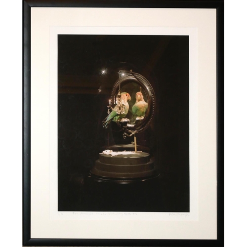 31 - POLLY MORGAN, B. 1980, LIMITED EDITION 2/18 COLOURED PHOTOGRAPH
Study of a parrot and mouse with an ... 