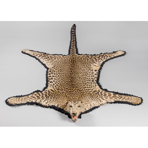 103 - A LATE 19TH CENTURY TAXIDERMY LEOPARD SKIN RUG WITH MOUNTED HEAD.
(l 237cm x w 165cm)