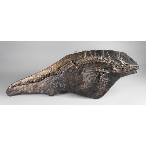 212 - A BRONZED ICHTHYOSAUR DINOSAUR FOSSIL CAST.
(w 138cm x h 53cm)