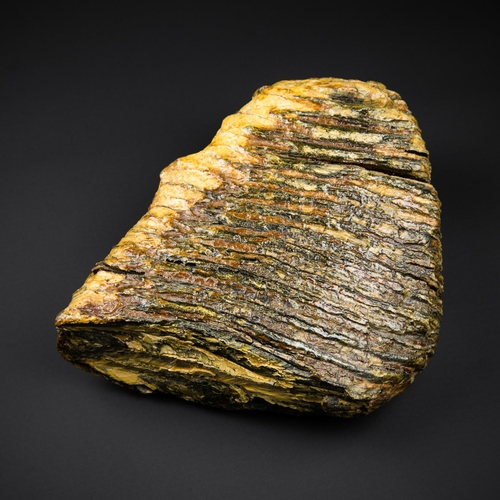 213 - A MAMMOTH TOOTH
Ice Age, North Sea.
(l 19cm x w 16cm)