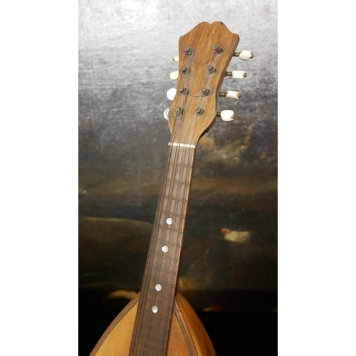 F. DE MUREDA NAPOLI マンドリン　ムレダ　インレイ装飾 An early 20th century cased mandolin, maker F.DE. Mureda of Napoli