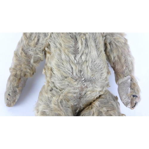 405 - AN EARLY 20TH CENTURY MOHAIR TEDDY BEAR
Having black button eyes, long snout and elongated paws.
(ap... 