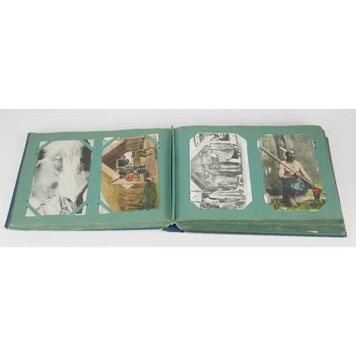 475A - AN EXTENSIVE AND INTERESTING COLLECTION OF EDWARDIAN TOPOGRAPHICAL AND ORNITHOLOGICAL POSTCARDS
To i... 