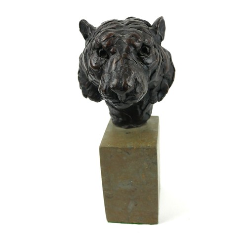 477 - HAMISH MACKIE, BRITISH, BN 1973, A BRONZE TIGER'S HEAD BUST 
Signed to rear ‘Ham 1999’, on a grey ma... 