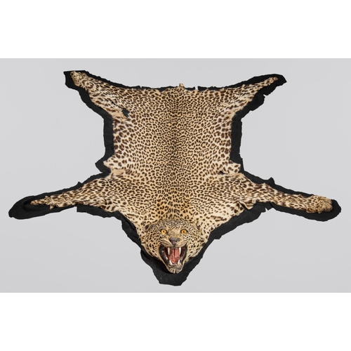 17 - A LATE 19TH/EARLY 20TH CENTURY TAXIDERMY LEOPARD SKIN RUG WITH MOUNTED HEAD (l 197cm x w 164cm)