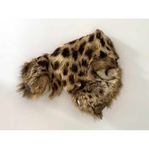 17 - A LATE 19TH/EARLY 20TH CENTURY TAXIDERMY LEOPARD SKIN RUG WITH MOUNTED HEAD (l 197cm x w 164cm)