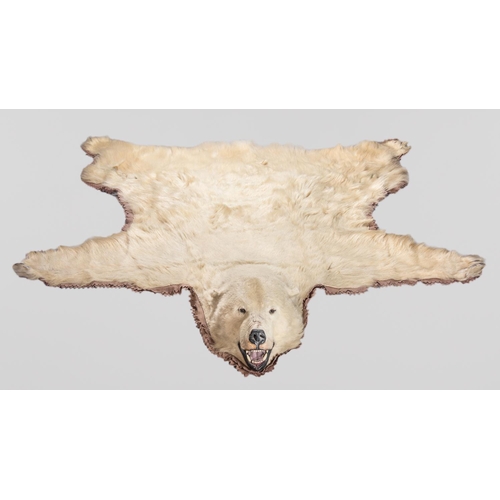 21 - A 20TH CENTURY TAXIDERMY POLAR BEAR SKIN RUG WITH MOUTED HEAD. The Polar bear was shot on an arctic ... 