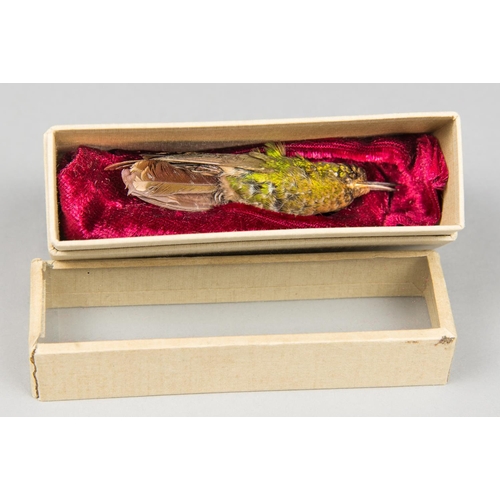 43 - A LATE 19TH CENTURY TAXIDERMY HUMMINGBIRD STUDY SKIN IN A GLASS FRONT DISPLAY BOX. The hummingbird (... 