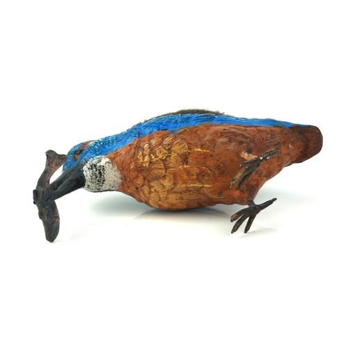 482 - A COLD PAINTED METAL KINGFISHER
With fish to beak and velvet cushion to back. 
(approx 14cm x 7cm)