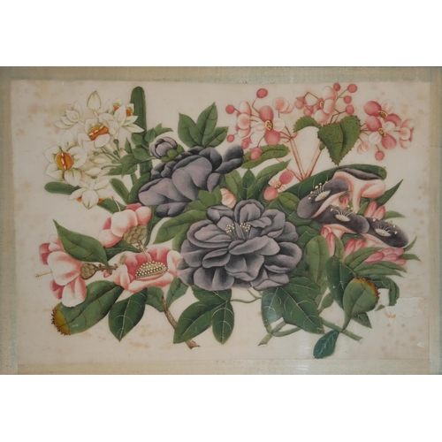 602 - A SET OF FOUR 19TH CENTURY CHINESE RICE PAPER PAINTINGS, STILL LIFE, FLOWERS
Mounted, framed and gla... 