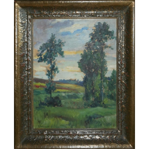 608 - GUSTAV PETER FRANZ SCHREAGLE, 1867 - 1925, OIL ON CANVAS 
Landscape, view with tall trees, bearing b... 