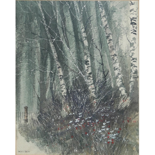 613 - MARTIN B. COOKE, BN BELFAST 1951, WATERCOLOUR 
Titled 'Silver Birches', winter landscape, tall trees... 