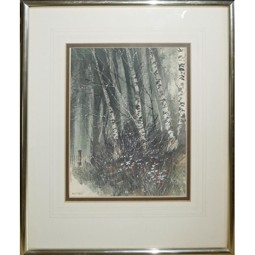 613 - MARTIN B. COOKE, BN BELFAST 1951, WATERCOLOUR 
Titled 'Silver Birches', winter landscape, tall trees... 