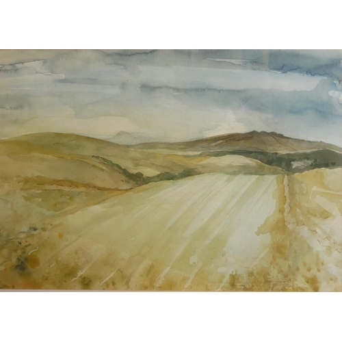 629 - PETER SANDERS, A 20TH CENTURY WATERCOLOUR LANDSCAPE
Titled 'On The Road To Settle', signed lower lef... 