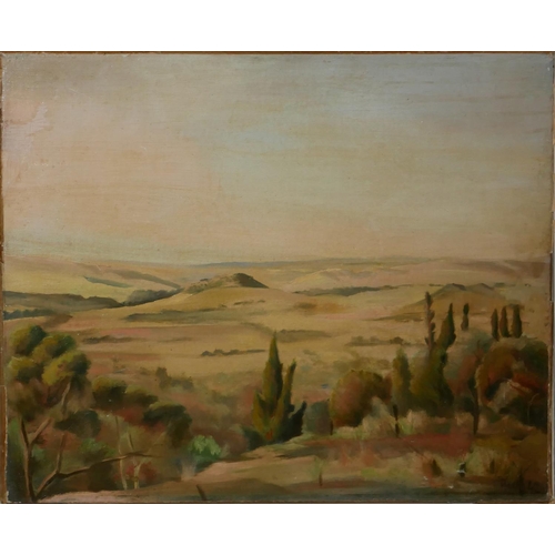 638 - A MID CENTURY SOUTH AFRICAN OIL ON CANVAS LANDSCAPE
Titled 'Hills Near Pretoria Pretoria, 1942', ind... 