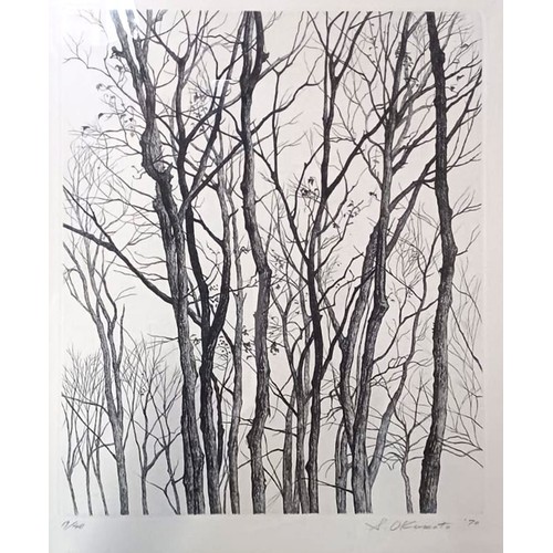 628 - SHOGO OKOMOTO, JAPANESE, 1920 - 2001, A BLACK AND WHITE ETCHING Limited edition view of tall trees, ... 