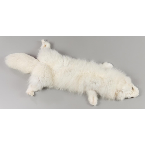 48 - A MODERN TAXIDERMY ARCTIC FOX TUBE SKIN. (l 79cm)