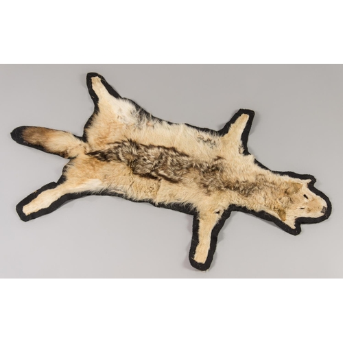 49a - A LATE 20TH CENTURY TAXIDERMY BLACK-BACKED JACKAL SKIN. (l 118cm)