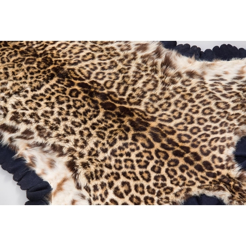 652 - ARMY & NAVY NATURALISTS, LONDON, AN EARLY 20TH CENTURY TAXIDERMY INDIAN LEOPARD SKIN RUG.
Taken by G... 