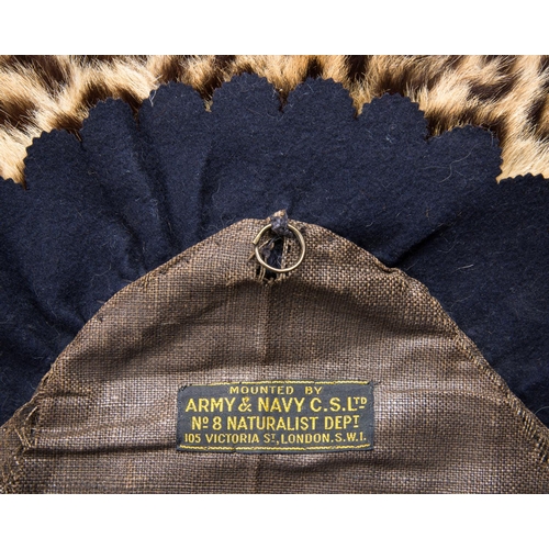 652 - ARMY & NAVY NATURALISTS, LONDON, AN EARLY 20TH CENTURY TAXIDERMY INDIAN LEOPARD SKIN RUG.
Taken by G... 