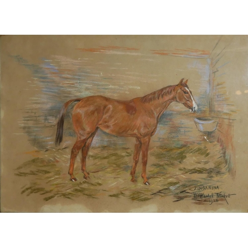 517 - W. WASDELL TRICKETT, 1921-1939, PASTEL ON PAPER
Equestrian interest, titled 'Zingarina', signed lowe... 