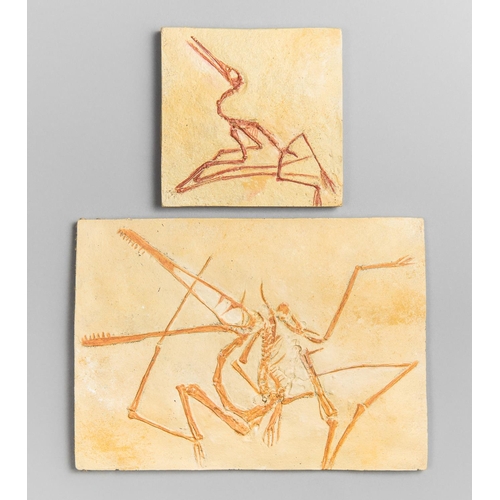 12 - TWO PTERODACTYL FOSSIL REPLICA PLAQUES. 
Made from a German specimen found in 1748.
The largest (h 1... 