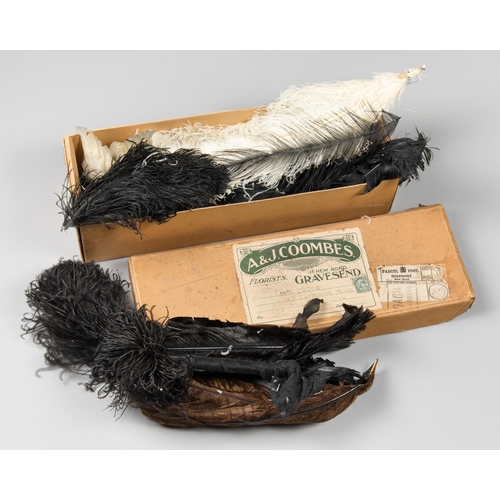 32 - A LATE 19TH/EARLY 20TH CENTURY BOX OF FEATHERS.
Various species used for hat decorations.
(h 11cm x ... 