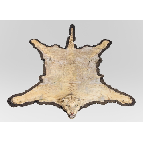 35 - VAN INGEN MYSORE, AN EARLY 20TH CENTURY TAXIDERMY TIGER SKIN RUG.
Bearing factory serial no. 21534. ... 