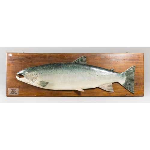 39 - A.J. HALL, A CARVED WOODEN SALMON, HAND PAINTED AND MOUNTED UPON AN OAK BACKBOARD.
Plaque inscribed:... 