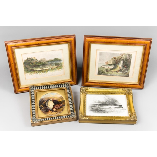 5 - FOUR FISHING AND GAME BIRD FRAMED PRINTS
The largest (h 23cm x w 28cm)