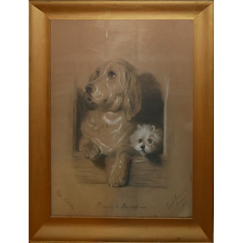 424 - FRIDA SCHLOSBERG, SOUTH AFRICA, AN EARLY 20TH CENTURY PASTEL DOG STUDY 
Titled 'Dignity and Impudenc... 